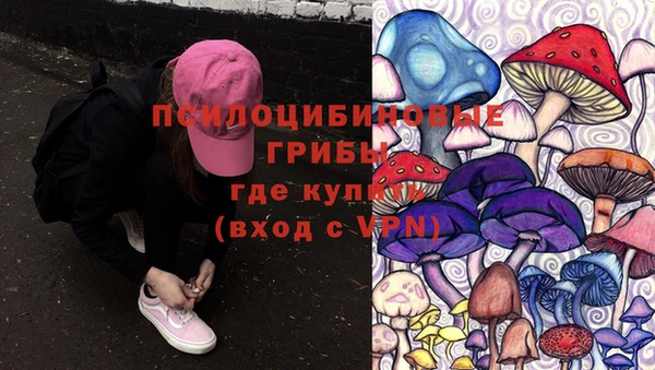 бутират Алексин