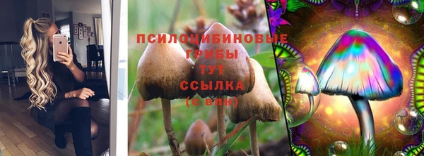 твердый Алексеевка
