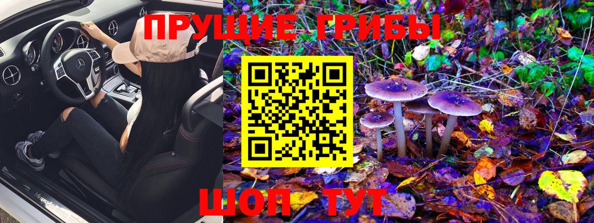 Псилоцибиновые грибы Psilocybe Мытищи