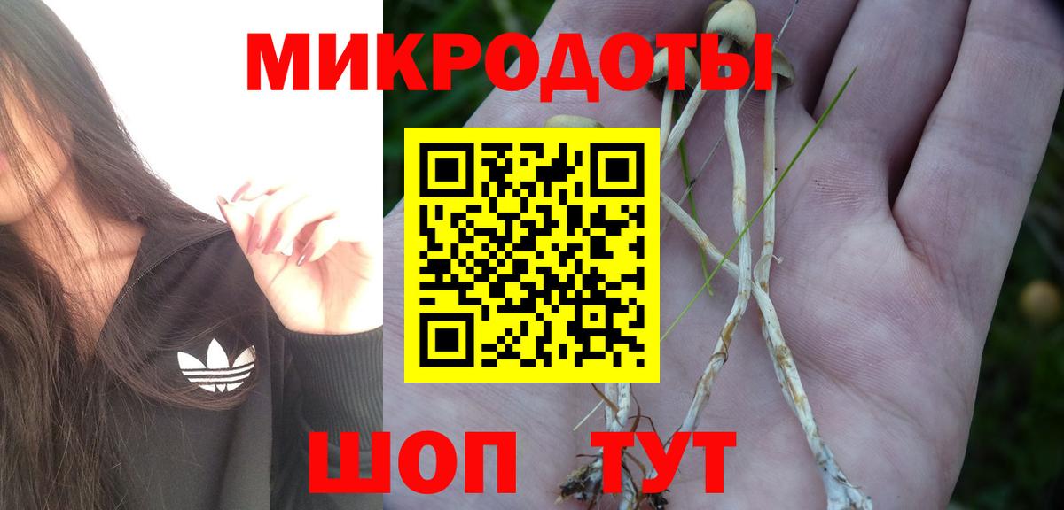 Галлюциногенные грибы Cubensis  Вход с VPN  Мытищи  Псилоцибиновые грибы Psilocybine cubensis 